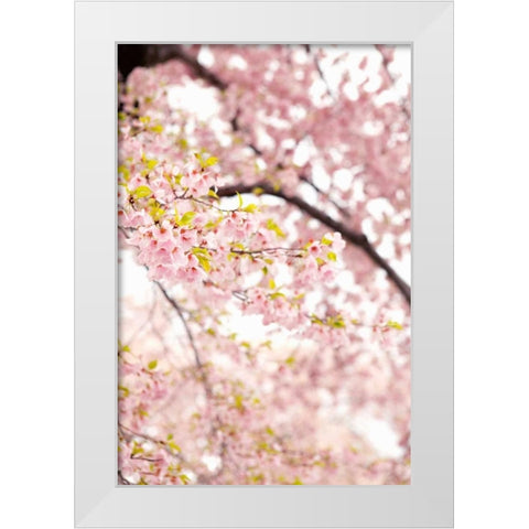 In Bloom XXIII White Modern Wood Framed Art Print by Millet, Karyn