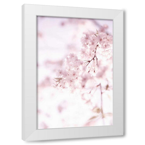 Soft Blooms II White Modern Wood Framed Art Print by Millet, Karyn