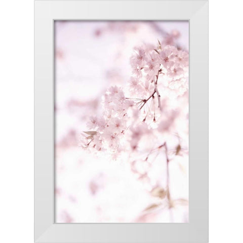 Soft Blooms II White Modern Wood Framed Art Print by Millet, Karyn