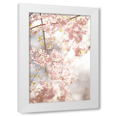 Soft Blooms V White Modern Wood Framed Art Print by Millet, Karyn