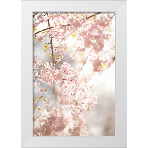 Soft Blooms V White Modern Wood Framed Art Print by Millet, Karyn