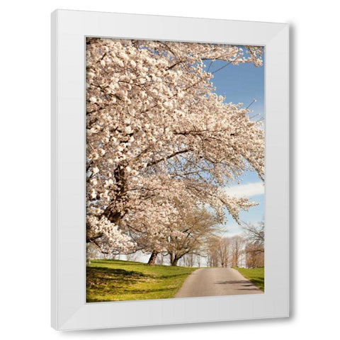 In the Park I White Modern Wood Framed Art Print by Millet, Karyn