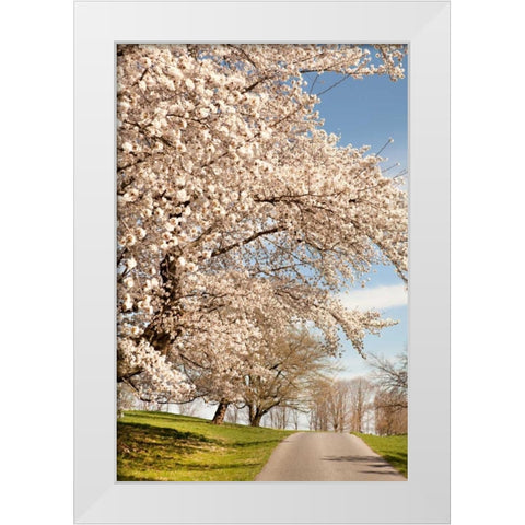 In the Park I White Modern Wood Framed Art Print by Millet, Karyn