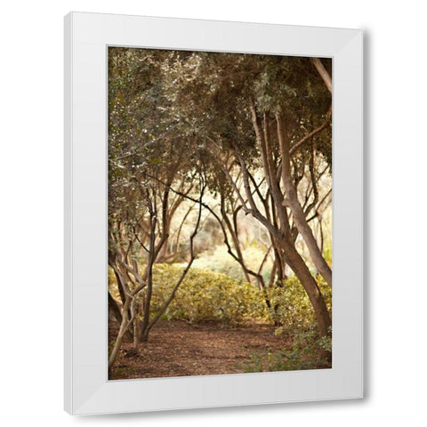 Secret Garden I White Modern Wood Framed Art Print by Millet, Karyn