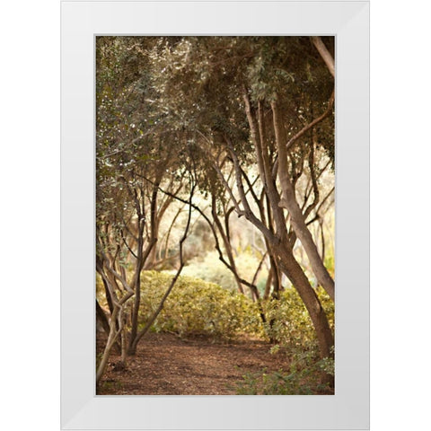 Secret Garden I White Modern Wood Framed Art Print by Millet, Karyn