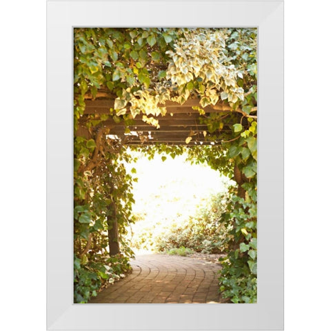 Secret Garden II White Modern Wood Framed Art Print by Millet, Karyn