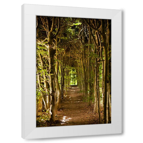 Secret Garden III White Modern Wood Framed Art Print by Millet, Karyn