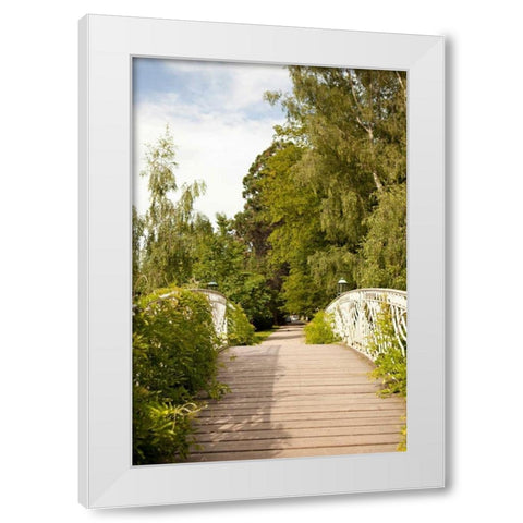 Secret Garden IV White Modern Wood Framed Art Print by Millet, Karyn