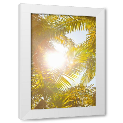 Tropical Oasis II White Modern Wood Framed Art Print by Millet, Karyn