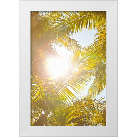 Tropical Oasis II White Modern Wood Framed Art Print by Millet, Karyn