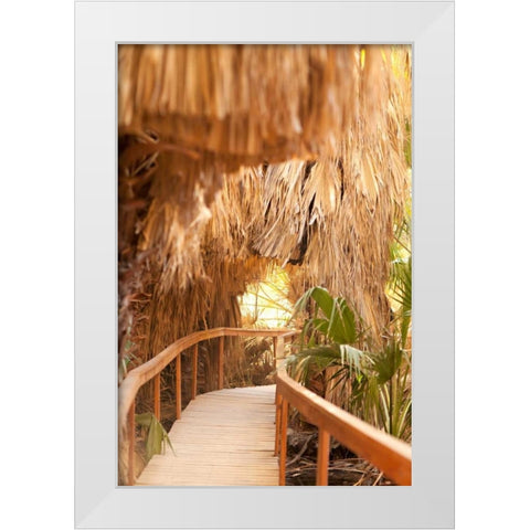 Palm Pathway I White Modern Wood Framed Art Print by Millet, Karyn
