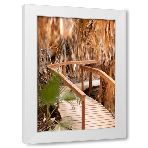 Palm Pathway II White Modern Wood Framed Art Print by Millet, Karyn