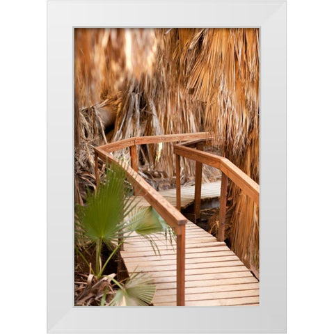 Palm Pathway II White Modern Wood Framed Art Print by Millet, Karyn
