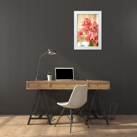 Pink Orchid I White Modern Wood Framed Art Print by Millet, Karyn