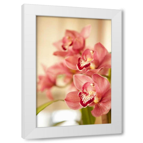 Pink Orchid I White Modern Wood Framed Art Print by Millet, Karyn
