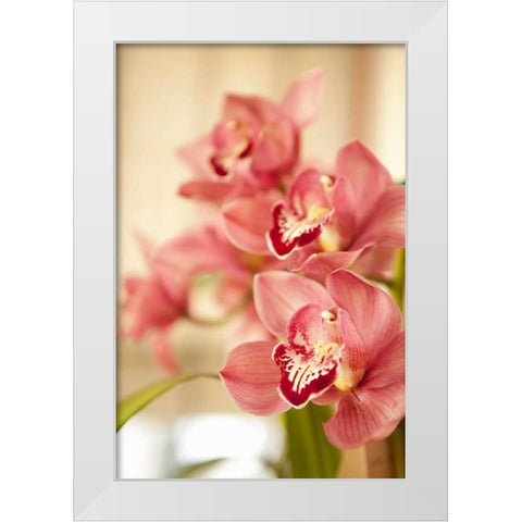 Pink Orchid I White Modern Wood Framed Art Print by Millet, Karyn