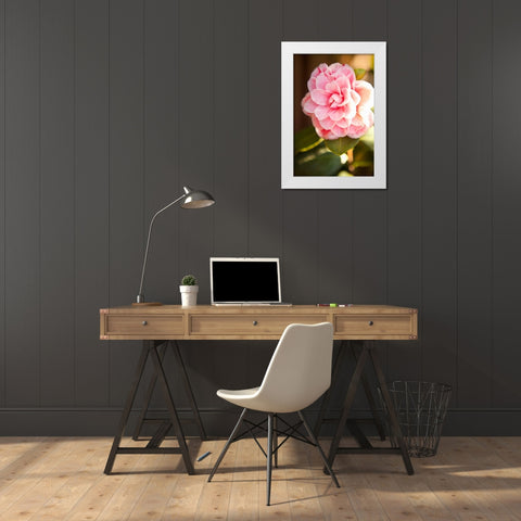 Bokeh Rose II White Modern Wood Framed Art Print by Millet, Karyn