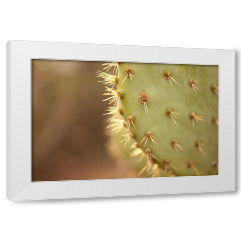 Cactus II White Modern Wood Framed Art Print by Millet, Karyn