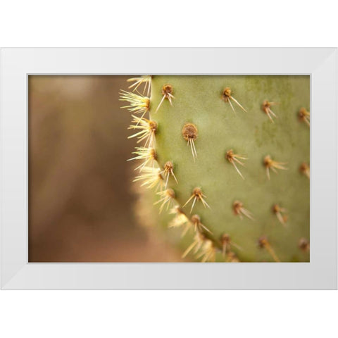 Cactus II White Modern Wood Framed Art Print by Millet, Karyn