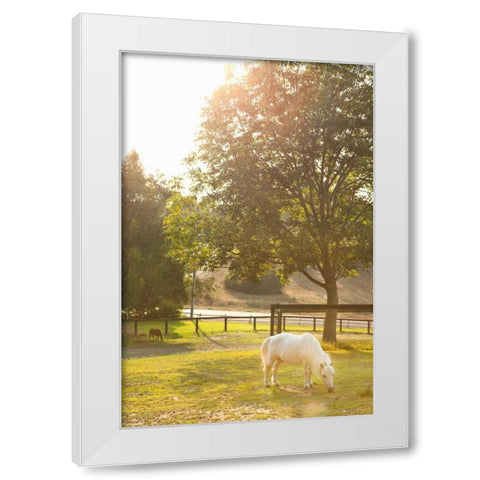White Pony White Modern Wood Framed Art Print by Millet, Karyn