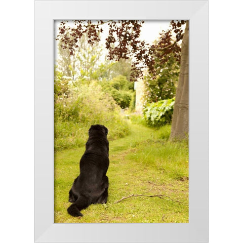Watch Dog White Modern Wood Framed Art Print by Millet, Karyn