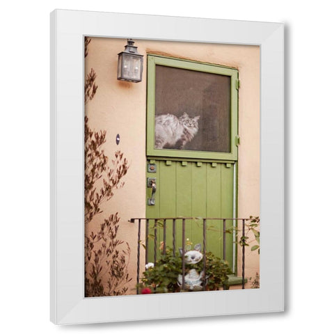Kitty in the Window White Modern Wood Framed Art Print by Millet, Karyn