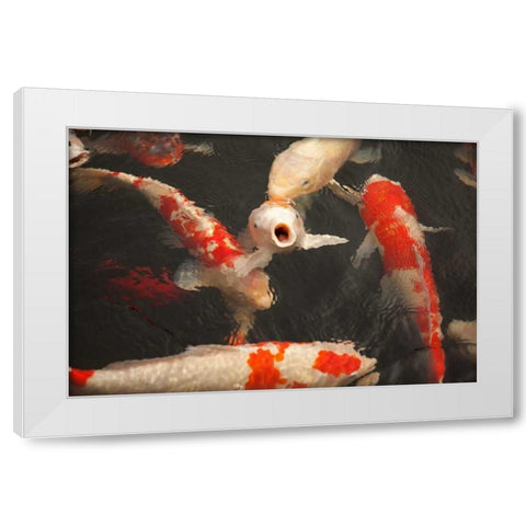 Koi II White Modern Wood Framed Art Print by Millet, Karyn