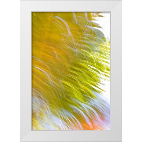 In Motion I White Modern Wood Framed Art Print by Millet, Karyn