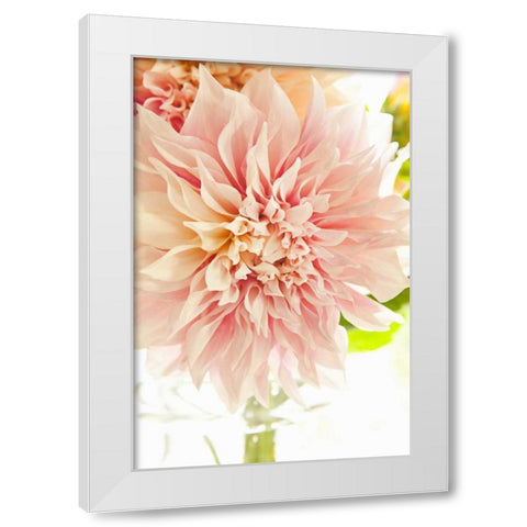 Pink Dahlia I White Modern Wood Framed Art Print by Millet, Karyn
