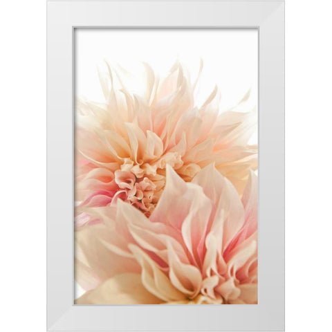 Pink Dahlia II White Modern Wood Framed Art Print by Millet, Karyn