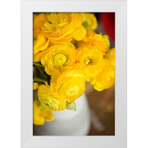 Yellow Ranunculus White Modern Wood Framed Art Print by Millet, Karyn