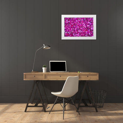 Pink Petals III White Modern Wood Framed Art Print by Millet, Karyn