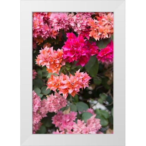 Pink Flowers I White Modern Wood Framed Art Print by Millet, Karyn