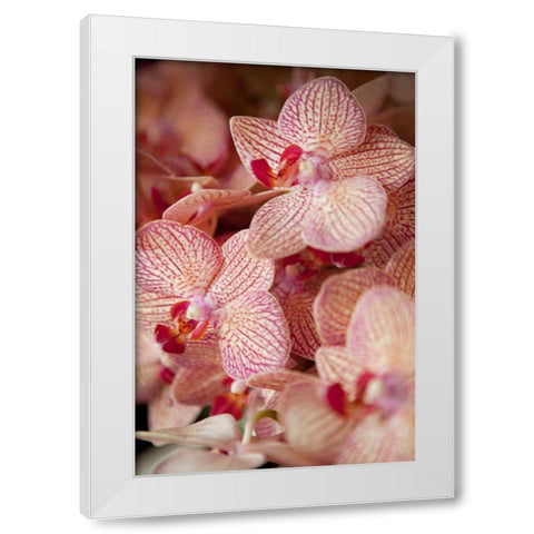 Orchid II White Modern Wood Framed Art Print by Millet, Karyn