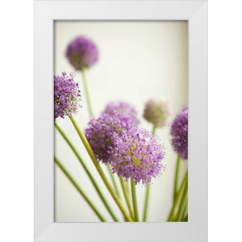Blossoms II White Modern Wood Framed Art Print by Millet, Karyn