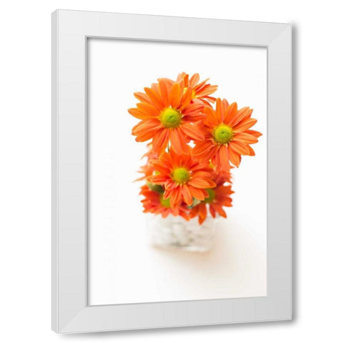 Spring Bouquet White Modern Wood Framed Art Print by Millet, Karyn