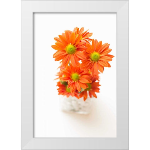 Spring Bouquet White Modern Wood Framed Art Print by Millet, Karyn