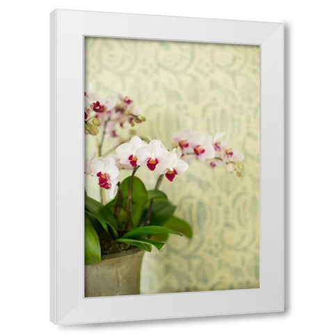 Orchid Vase White Modern Wood Framed Art Print by Millet, Karyn