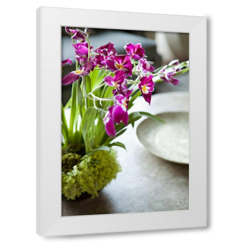 Orchid III White Modern Wood Framed Art Print by Millet, Karyn