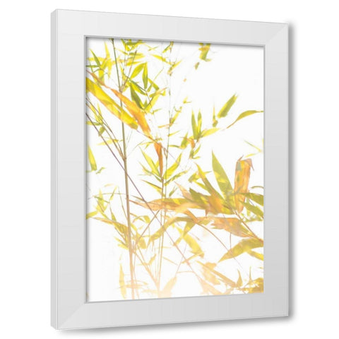 Bamboo I White Modern Wood Framed Art Print by Millet, Karyn