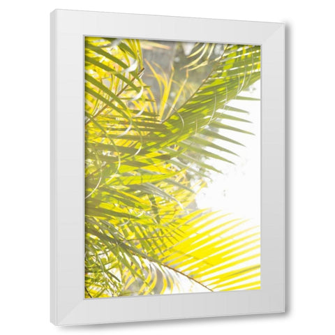 Palm Fonds White Modern Wood Framed Art Print by Millet, Karyn