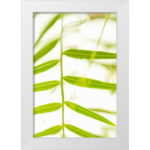 Palm Fonds III White Modern Wood Framed Art Print by Millet, Karyn