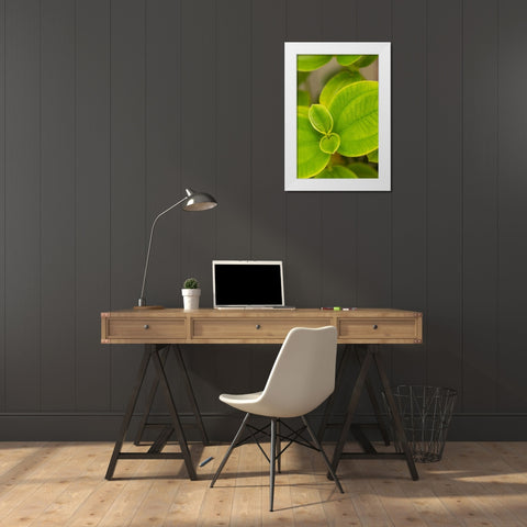 Tropical Leaves I White Modern Wood Framed Art Print by Millet, Karyn