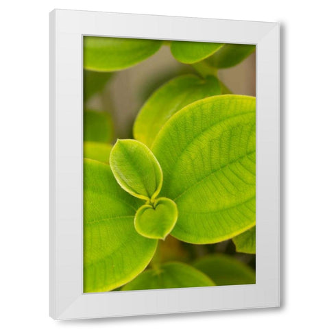 Tropical Leaves I White Modern Wood Framed Art Print by Millet, Karyn