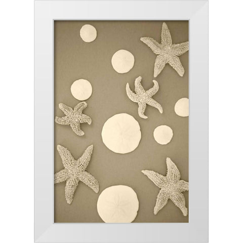 Starfish and Sand Dollars II White Modern Wood Framed Art Print by Millet, Karyn