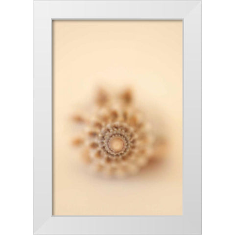 Sea Shells III White Modern Wood Framed Art Print by Millet, Karyn