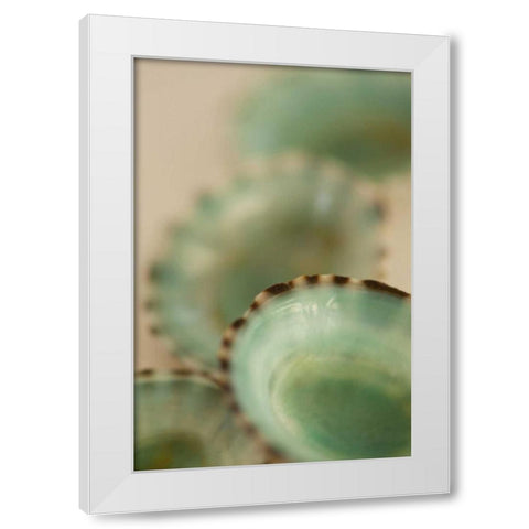 Sea Shells IV White Modern Wood Framed Art Print by Millet, Karyn