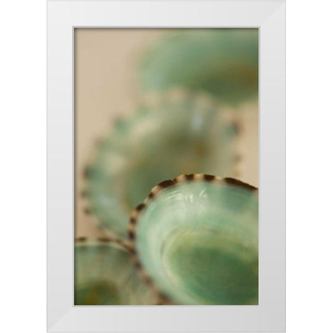 Sea Shells IV White Modern Wood Framed Art Print by Millet, Karyn