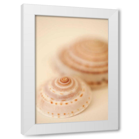 Sea Shells V White Modern Wood Framed Art Print by Millet, Karyn