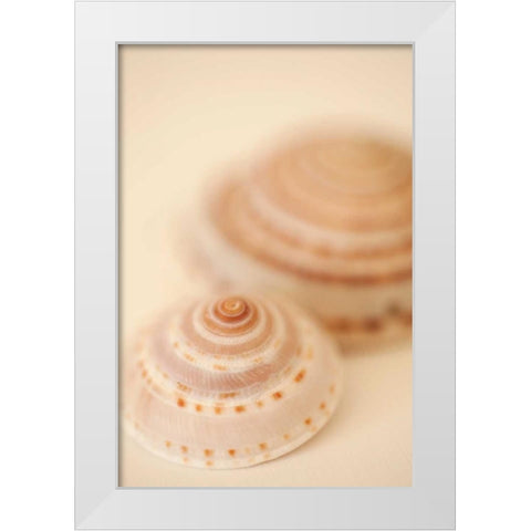 Sea Shells V White Modern Wood Framed Art Print by Millet, Karyn